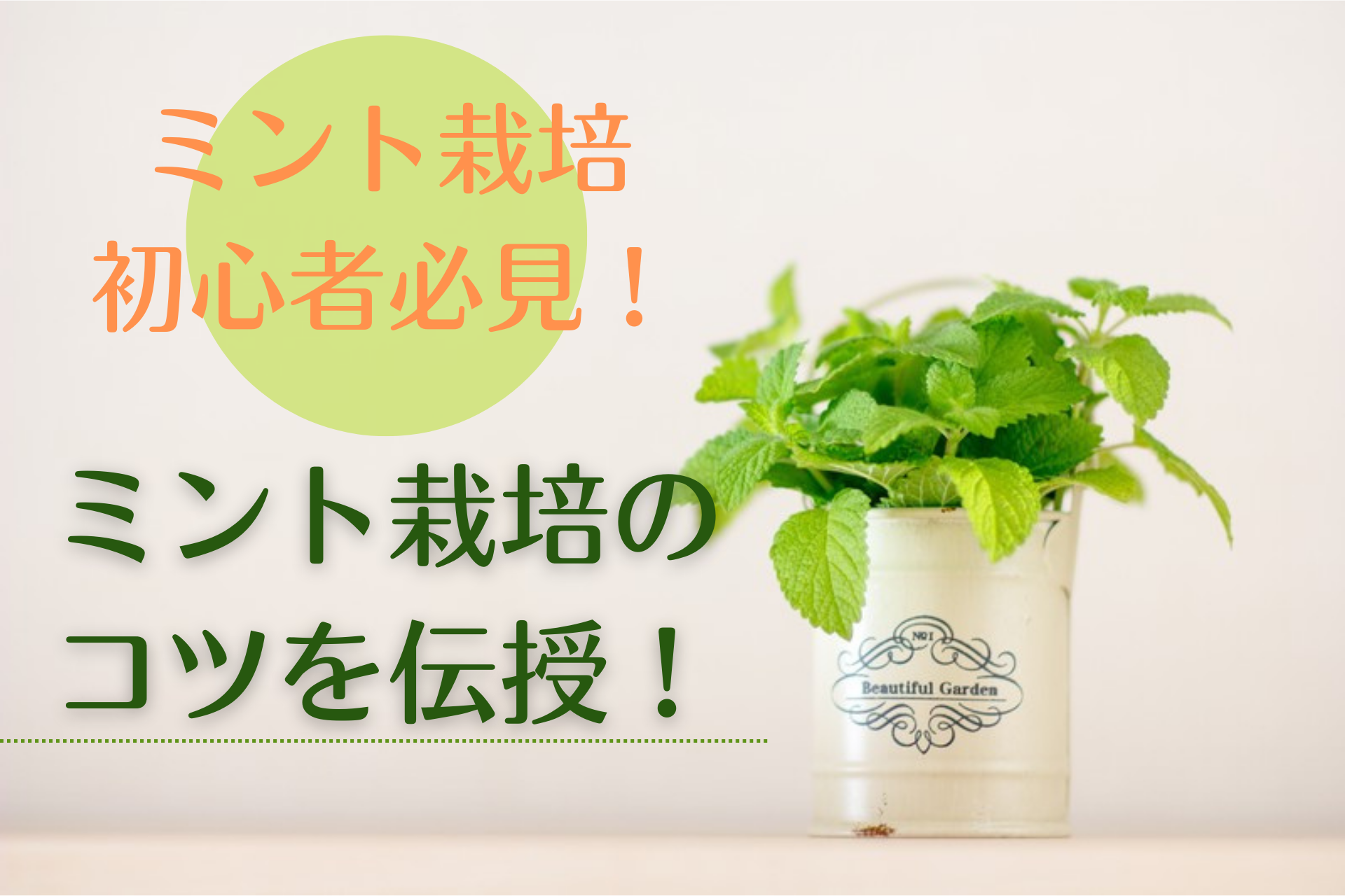 【初心者必見！】ミントを家庭で育てよう！ミント栽培初心者でもわかる育て方のコツを伝授！